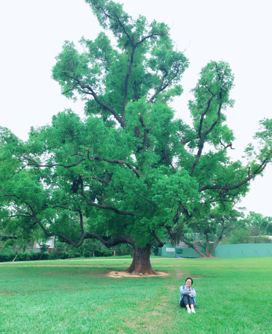 “在台师大的漫长夏天”团队成员朱丁坤台湾访学记