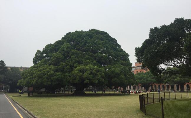 成功大学,一个让不成功的人乐活的地方――团队成员赴台湾成功大学访学 成功大学,一个让不成功的人乐活的地方――团队成员赴台湾成功大学访学
