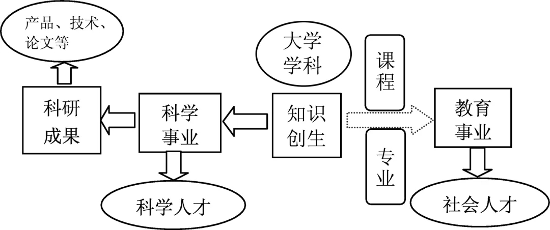 学科作为生命体：一流学科建设的新视角
