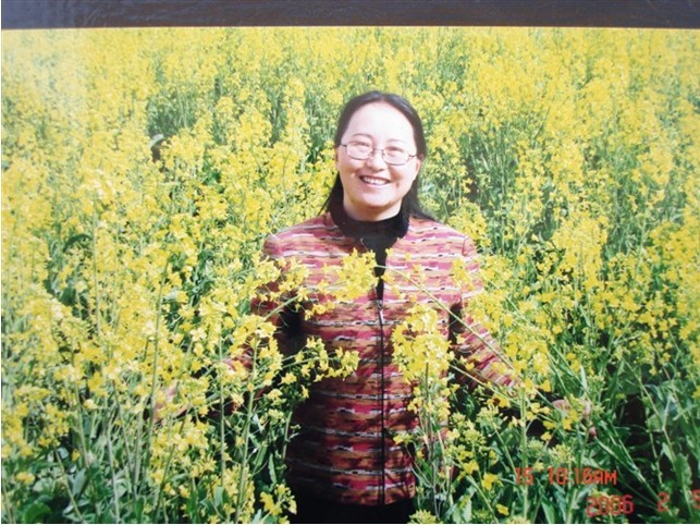席林简介
